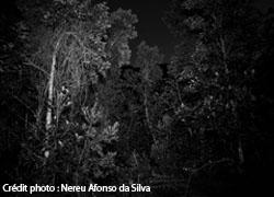 Photo de Nereu Afonso da Silva