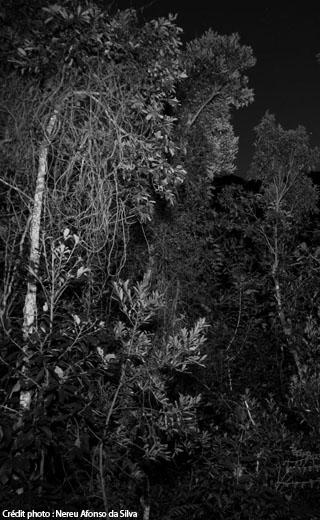 Photo de Nereu Afonso da Silva